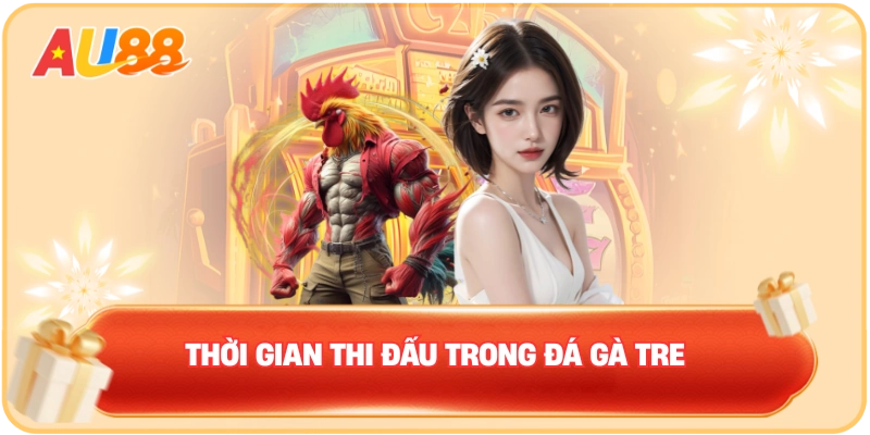 Thời gian thi đấu trong đá gà tre
